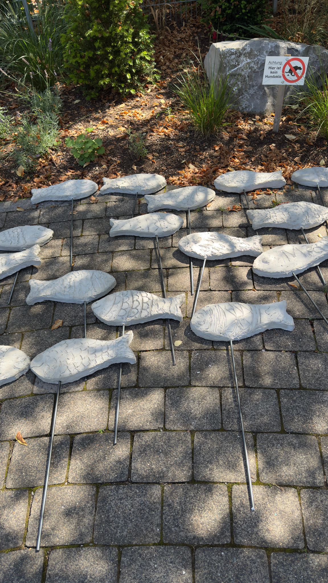 WhatsApp Image 2025 08 22 at 19.26.581