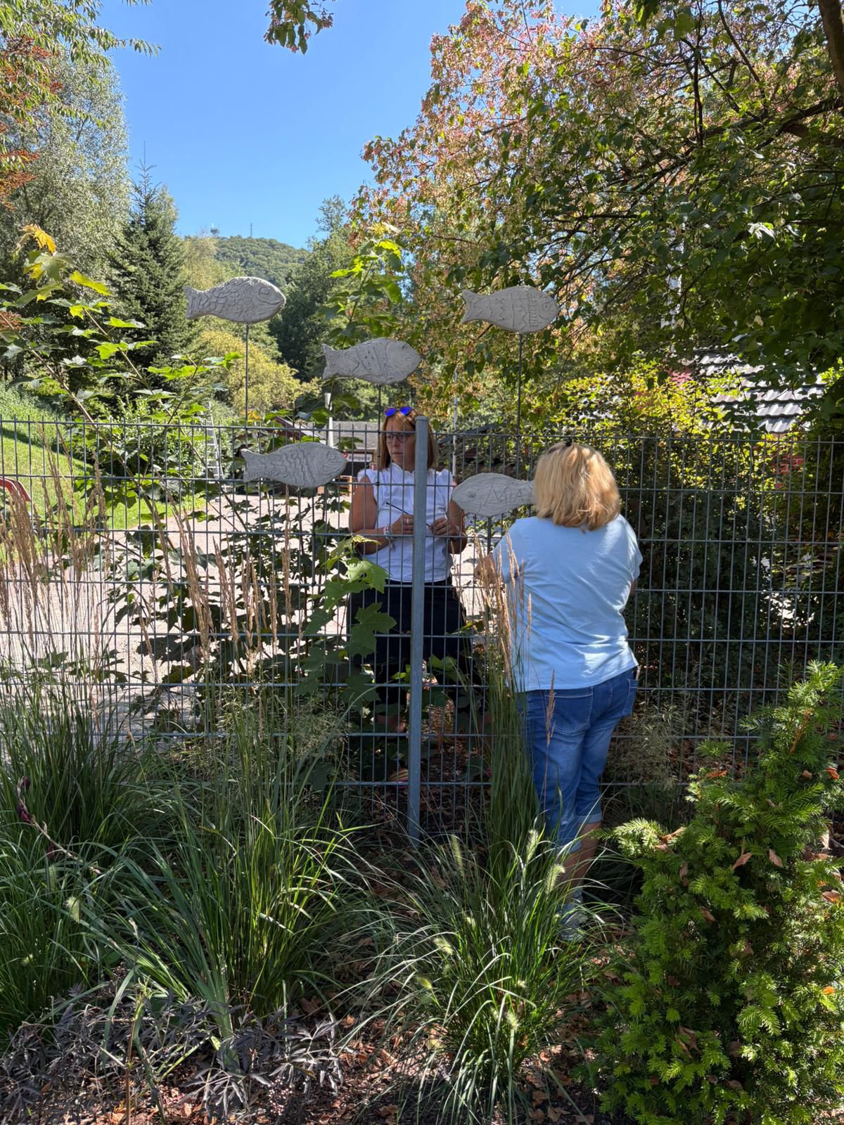 WhatsApp Image 2025 08 22 at 19.26.582