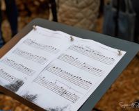 Weihnachtsmarkt-Samstag-2025_Bild-088