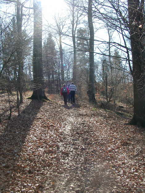 Sauerlandlied